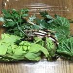 【京都朝市めぐり】春の味覚を求めて☆食材の宝庫・大原で毎週日曜開催「大原わいわい朝市」