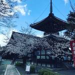 【京都お寺めぐり】桜も見ごろ☆桃山時代を代表する絵師・長谷川等伯の巨大涅槃図特別公開中「本法寺」