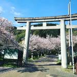 【2019京都桜情報】忠臣蔵の赤穂浪士・大石内蔵助ゆかりの神社は桜終盤☆「大石神社」