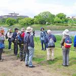 【京都ＧＷイベント】参加無料！夏鳥のベストシーズン＠鴨川府民探鳥会☆４月29日（月・祝）開催【日本野鳥の会京都支部】