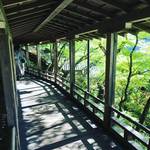【京都新緑めぐり】紅葉の名所『永観堂』は新緑の名所でもあり！若葉そよぐ緑の絶景☆