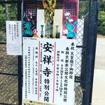 【京都お寺めぐり】奉祝天皇陛下御即位☆京都非公開文化財特別公開で初公開！「安祥寺」