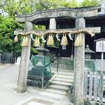 【京都御苑めぐり】九条邸跡の珍しい唐破風鳥居！季節の藤や茶室望む庭園も☆「厳島神社」
