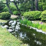 【京都御苑めぐり】今が見ごろ！季節の花・黄菖蒲と杜若のコラボ！！水遊びスポット「出水の小川」