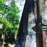 【京都新緑ぶらり】木々のパワーみなぎる早朝にエネルギーチャージ！朝活で珍光景も☆「南禅寺～蹴上インクライン他」