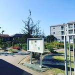 【京都イベント】漢方薬や医薬品の基となるマニアック植物が無料一般公開！京都薬科大学「薬用植物園御陵園」