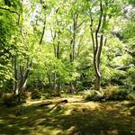 苔庭と新緑が美しい。奥嵯峨の【祇王寺】は京都のヒンヤリ・涼スポット