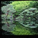 【限定公開】「庭鏡」が美しい「旧邸御室」【御室仁和寺そば】