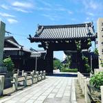 【京都お寺めぐり】西陣にある秋に咲く珍しい『御会式桜』の名所！十六羅漢の庭園も☆「妙蓮寺」