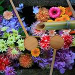 東福寺の勝林寺で鮮やかな花手水を楽しもう【フォトジェニック】 
