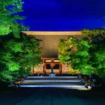 【初開催】世界遺産 仁和寺 青もみじライトアップへ行ってきました！