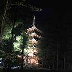 世界遺産「仁和寺」で初開催の青もみじライトアップ！