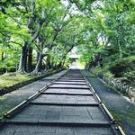 【京都新緑めぐり】JR東海『そうだ京都、行こう。』の有名スポット！青もみじの名所☆「毘沙門堂」
