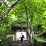  京都・大原探訪　食の宝庫「大原」で爽やかウォーキング【京の夏の旅】
