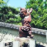 【京都神社めぐり】世にも珍しい逆立ち狛犬！画家横尾忠則氏とゆかりの黒住教教祖祀る☆「宗忠神社」