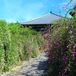 【京都花めぐり】秋の到来☆萩が咲き誇る名所巡り【萩】
