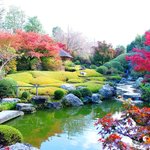 人数限定して開催。妙心寺退蔵院お食事付き「観楓会」