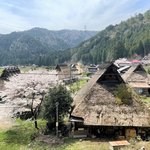【京都の桜】美山 かやぶきの里でお花見を堪能！日本の原風景が広がる観光スポット
