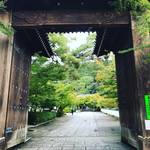 【2019京都紅葉最新】台風一過で秋加速☆京都屈指の紅葉名所「永観堂」