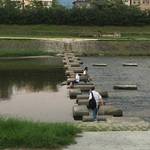 【三条大橋～二条大橋】そうだ「飛び石」を歩いて鴨川を感じよう♪