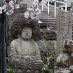 【紅葉の名所】見どころが多く、紅葉とユニークな仏様に会える「金戒光明寺」【アフロ仏像】