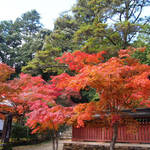 とっておきの京都の紅葉「高雄編 」紅葉の名所から地元グルメまで