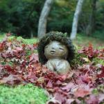 とっておきの京都の紅葉「大原編」名所から穴場、地元グルメまで