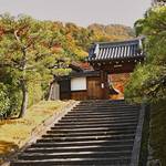 2019年京都秋の特別公開！霊鑑寺＆ノートルダム中学高等学校「和中庵」