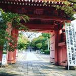 【2019京都紅葉最新】JR東海『そうだ京都、行こう。』ＣＭで注目スポット！夕暮れが狙い目☆「真如堂」