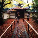 【京都紅葉】耐震工事ようやく終了！大徳寺塔頭「高桐院」
