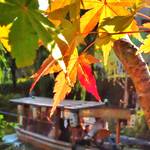 とっておきの京都の紅葉「伏見編」名所から穴場、地元グルメまで