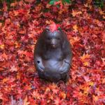 【2019紅葉 限定公開】奥嵯峨野に静かに佇む小倉百人一首の地「厭離庵（えんりあん）」【嵐山】