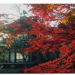 とっておきの京都【11/16〜12/1】天皇陛下御即位記念「京都山科非公開文化財等の特別公開」開催【山科南エリア編】