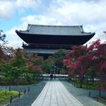 【2019京都紅葉最新】徐々に色づく三門や水路閣！塔頭でも特別拝観実施中☆「南禅寺」