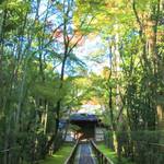 変わらぬ趣や美しさ、真っ赤に染まる秋の絶景は必見「大徳寺塔頭　高桐院」【大徳寺】