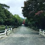 【京都ぶらり】京都市内イチの古さ！広大な敷地に原生林あり！！自然も満喫☆「天智天皇山科陵」