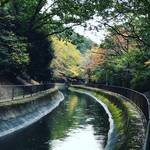 【京都紅葉】水面に映る紅葉並木もまた絶景！区民の憩いスポット「山科疏水」