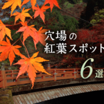 【とっておきの京都】待ち時間知らず♪おすすめの“穴場”紅葉スポット６選！！2019秋