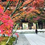 【2019京都紅葉めぐり】最高潮の赤に染まる三門！観光客少なめの早朝狙いでガッツリ堪能☆「南禅寺」