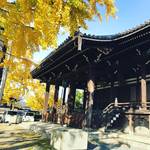 【2019京都紅葉最新】大銀杏の黄色がまさに見ごろ！琳派・俵屋宗達ゆかりの日蓮宗寺院「頂妙寺」