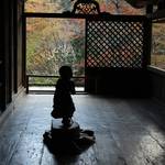 【京都紅葉】国宝や鳥獣戯画も楽しめる紅葉の名所「世界遺産 高山寺」【高雄エリア】