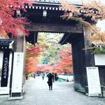 【2019京都紅葉パトロール】今週が見頃ピーク！洛東のお寺をチェック☆永観堂～安楽寺【11月24日時点】