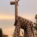 快適な空間はお散歩にもぴったり！月替わりの企画も楽しみな京都市動物園☆