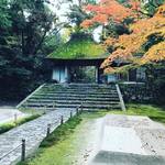 【京都紅葉】静寂の中に広がる色鮮やかなモミジと白砂檀！「鹿ケ谷法然院」
