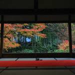 【京都紅葉巡り】お抹茶をいただきながら秋の額縁庭園を楽しむ「宝泉院」【大原エリア】
