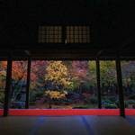 【2019紅葉巡り】洛北屈指の紅葉名所「圓光寺」【一乗寺エリア】