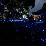 【京都紅葉スポット】紅葉の赤、静寂の青、幻想的な雰囲気に包まれる『青蓮院門跡』