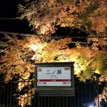 【京都紅葉スポット】叡山電鉄で行こう！美しい秋色に包まれる『もみじのトンネル』