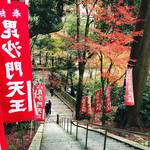 【京都紅葉】『そうだ京都、行こう。』でも有名になった赤絨毯「毘沙門堂」