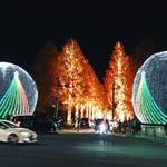 【夜の京都ぶらり】86万球の輝きは市内最大級！ファンタスティックに闇夜を彩る「ロームイルミネーション2019」